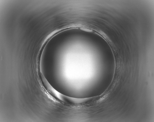 X0000079340854200611251855