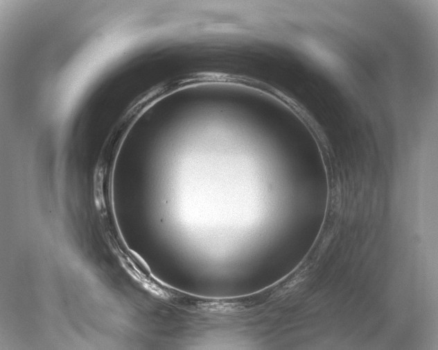 X0000079340862200611251855