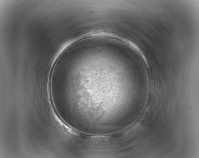 X0000079340863200611251855