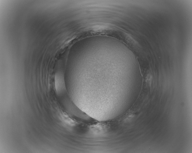 X0000079340868200611251854