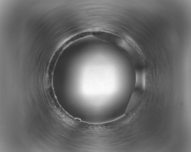 X0000079340876200611251854