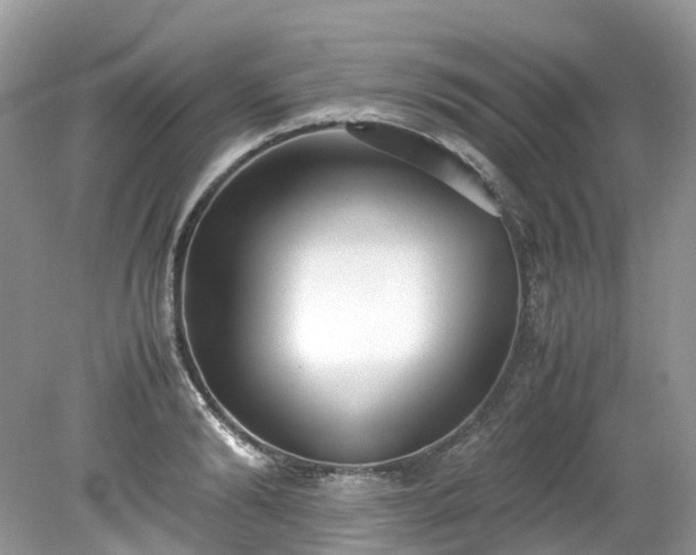X0000079340894200611251854