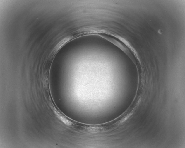 X0000079340897200611251854