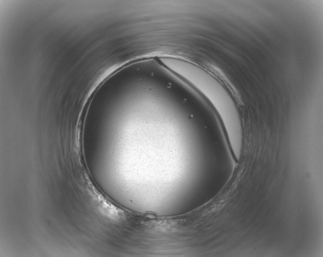 X0000079340900200611251854