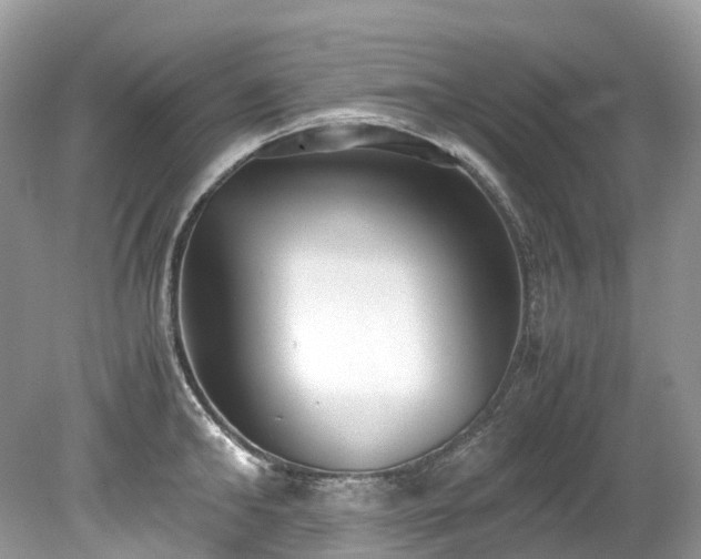 X0000079340902200611251853
