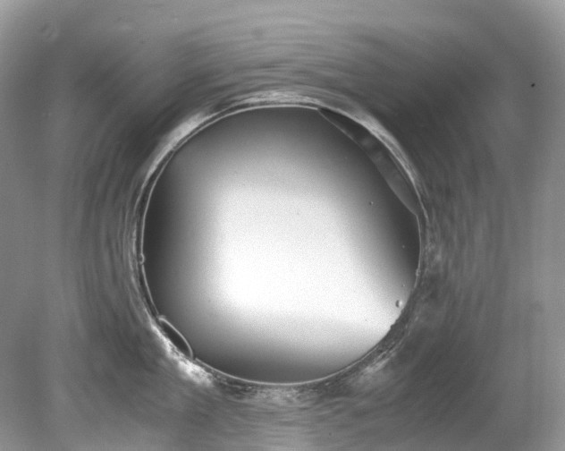 X0000079340909200611251853