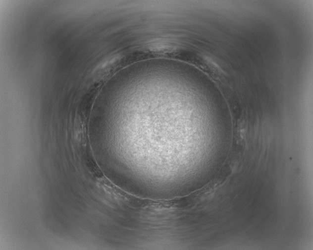 X0000079340917200611251853