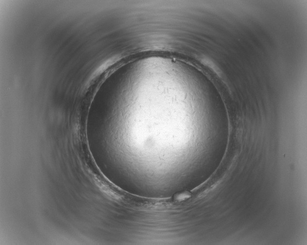 X0000079340922200611251853