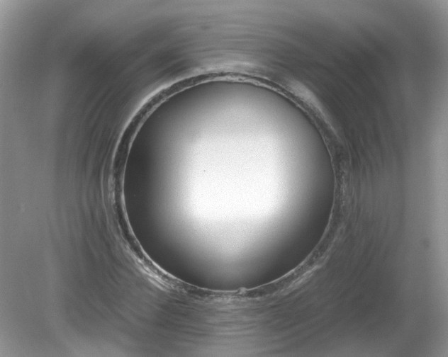 X0000079340924200611251853