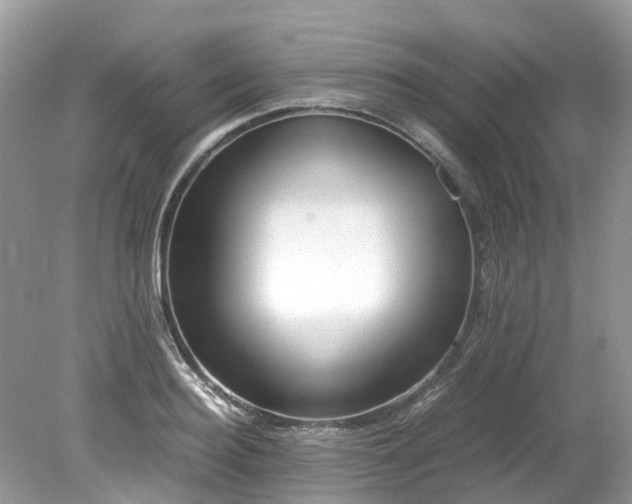X0000079340940200611251853