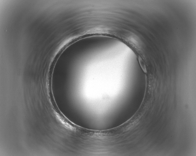 X0000079340942200611251853