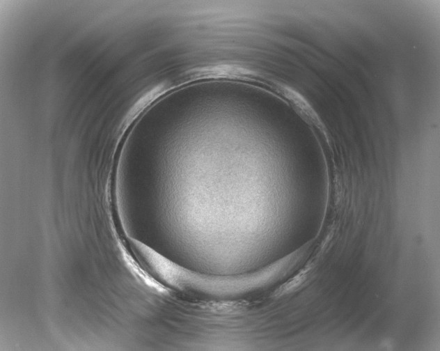 X0000079340946200611251853