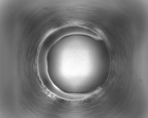 X0000079340948200611251853
