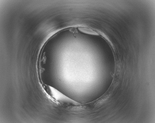 X0000079340959200611251853