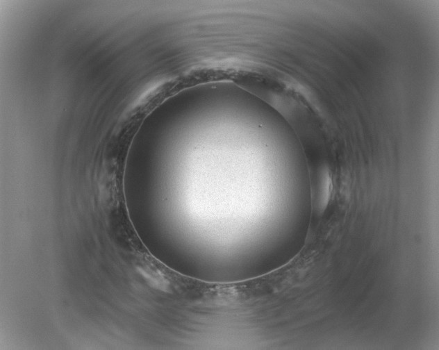X0000079340968200611251852