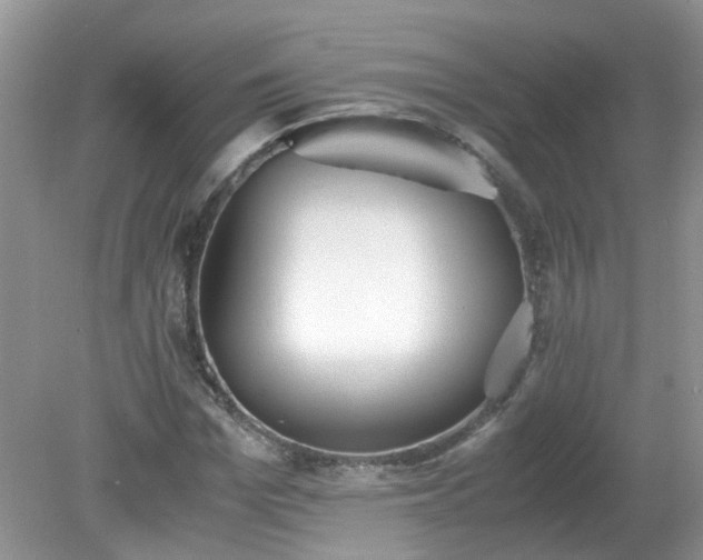 X0000079340969200611251852