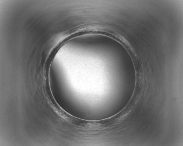 X0000079340981200611251852