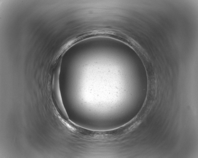 X0000079340985200611251852