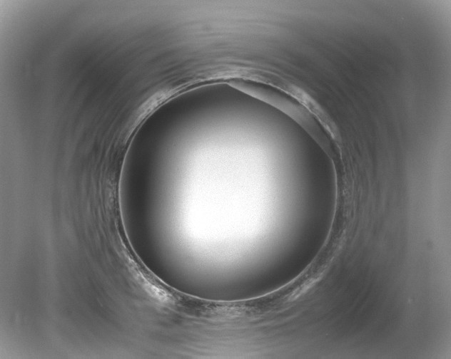 X0000079340993200611251852