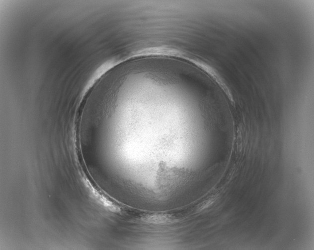 X0000079340998200611251852
