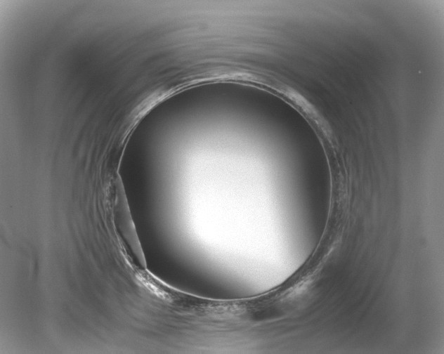 X0000079341001200611251852