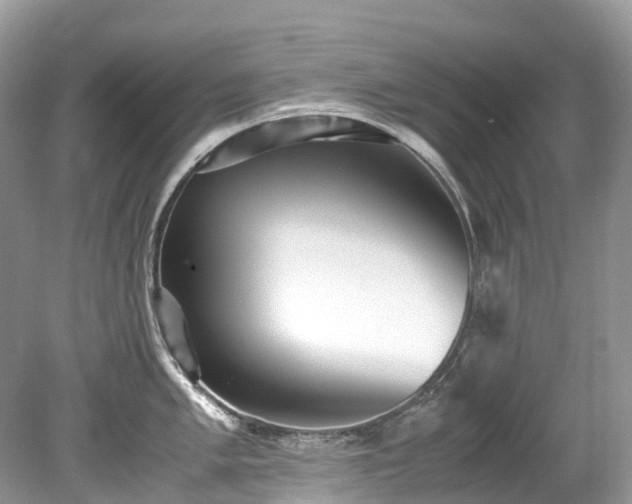 X0000079341005200611251852
