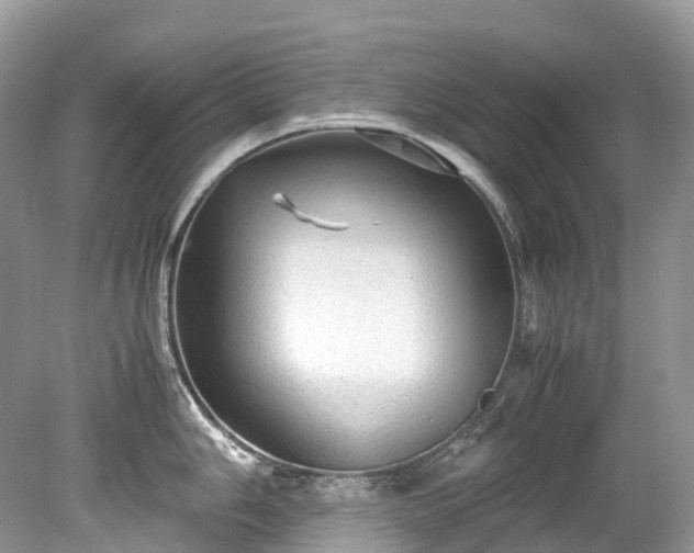X0000079341006200611251852