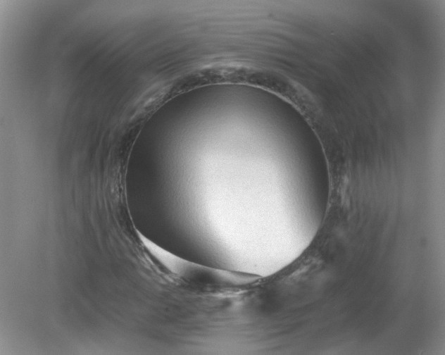 X0000079341014200611251851