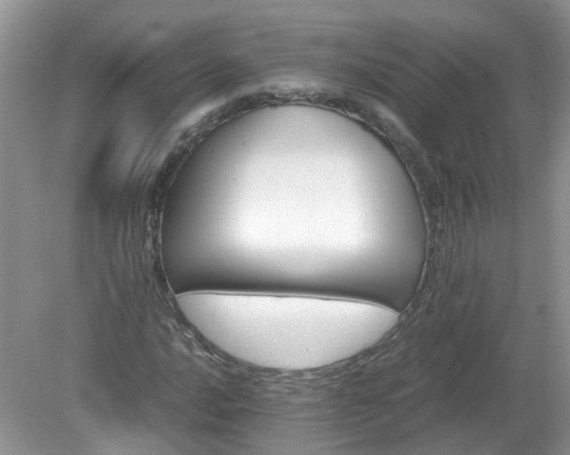 X0000079341016200611251851