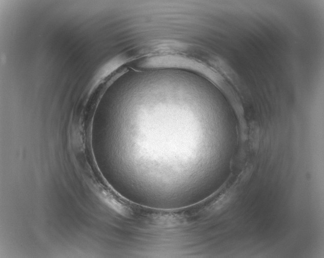 X0000079341018200611251851