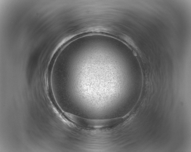 X0000079341032200611251851
