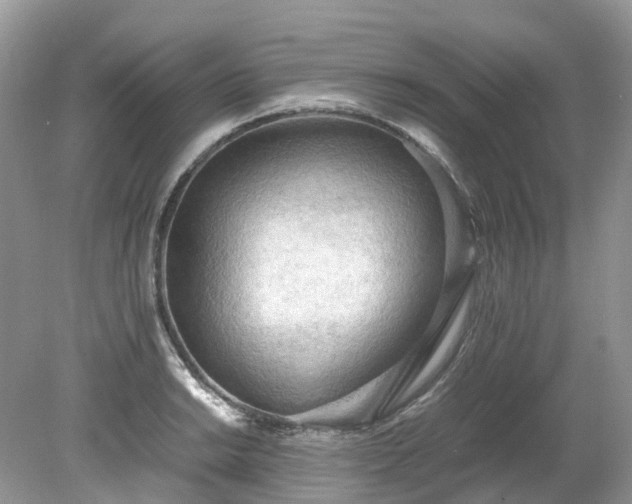 X0000079341038200611251851