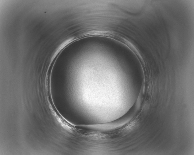 X0000079341050200611251852
