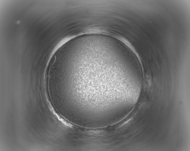 X0000079341053200611251852