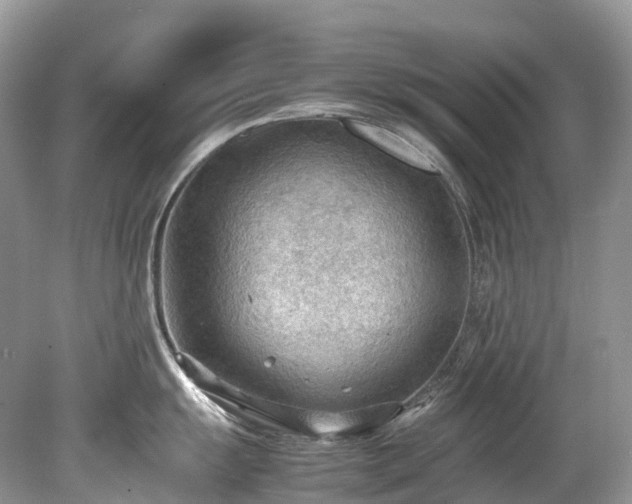 X0000079341055200611251852
