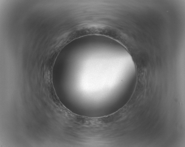 X0000079341061200611251851