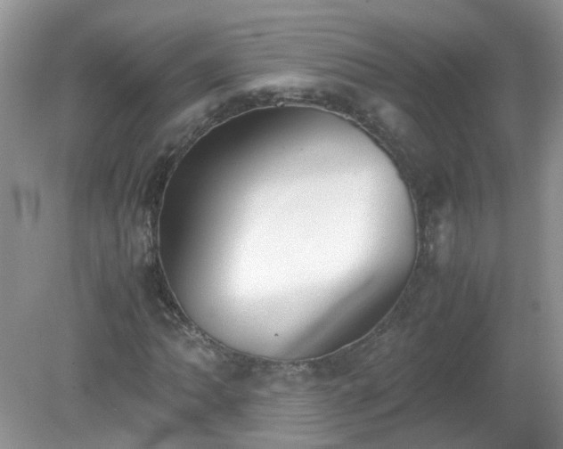 X0000079341062200611251851