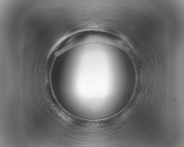 X0000079341069200611251851