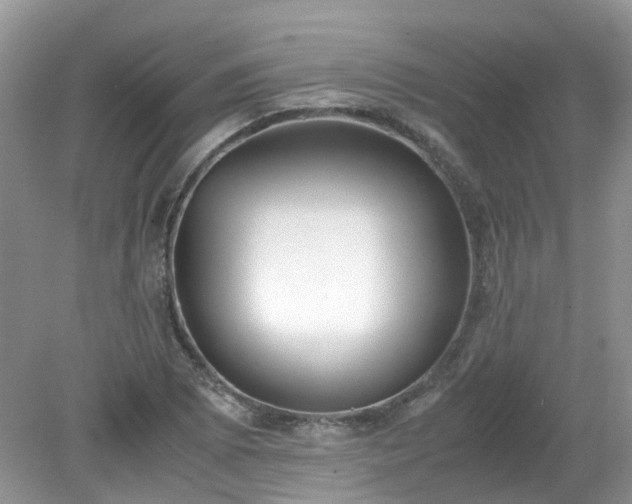 X0000079341073200611251851