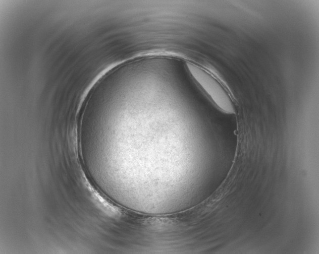 X0000079341092200611251850