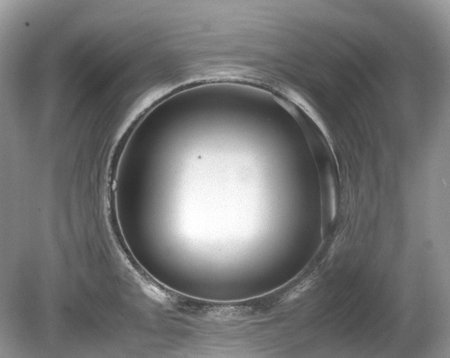 X0000079341093200611251850