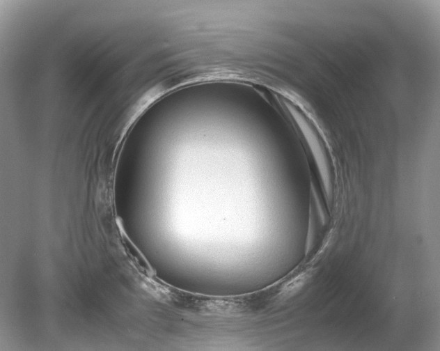 X0000079341097200611251850
