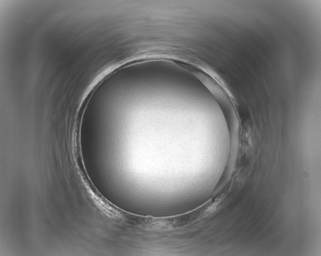 X0000079341101200611251850