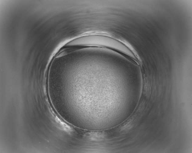 X0000079341102200611251850