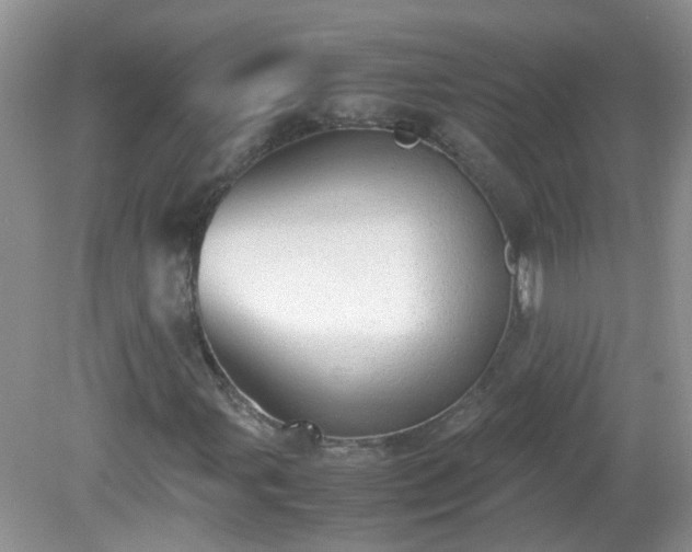 X0000079341107200611251849
