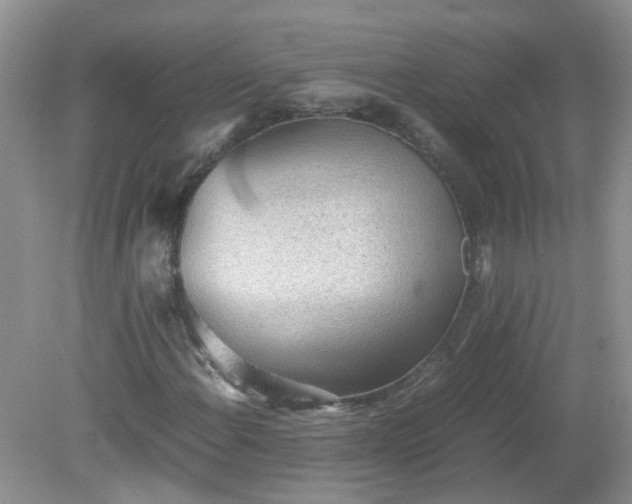 X0000079341108200611251849