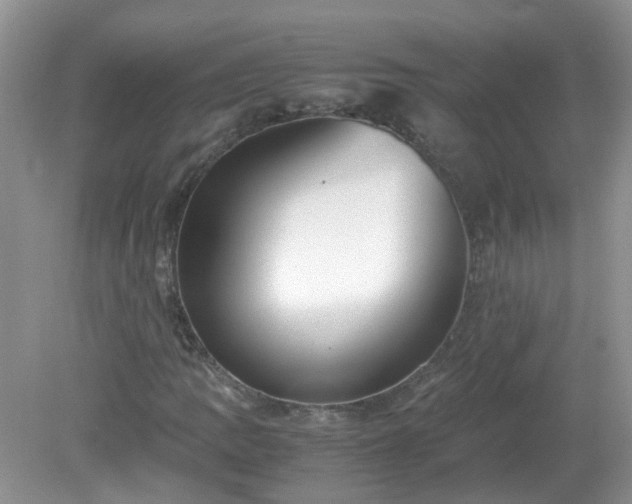 X0000079341109200611251849