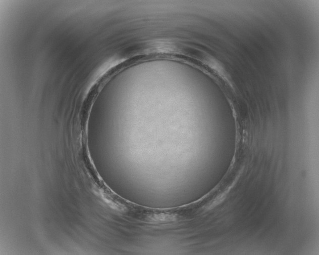 X0000079341117200611251850