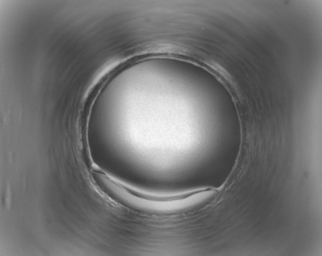 X0000079341120200611251850