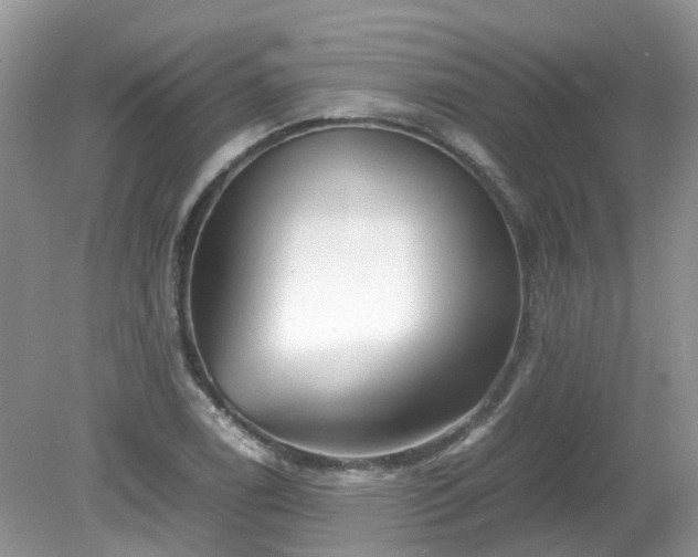 X0000079341122200611251850